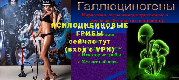 сатива Балабаново