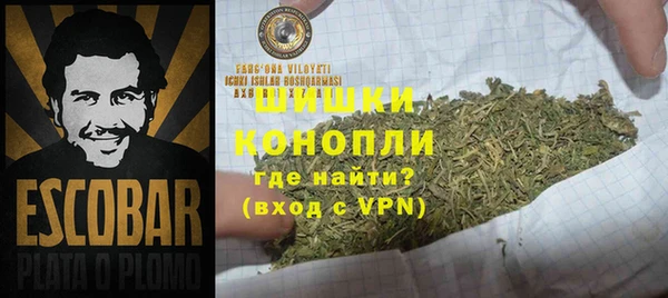 сатива Балабаново