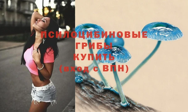 сатива Балабаново