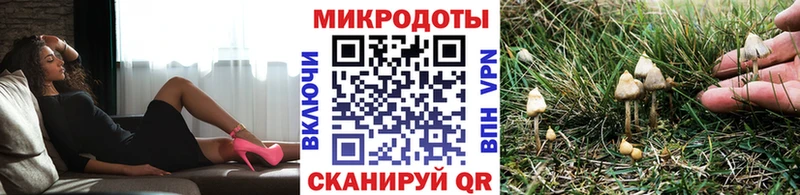 Галлюциногенные грибы Magic Shrooms Печора