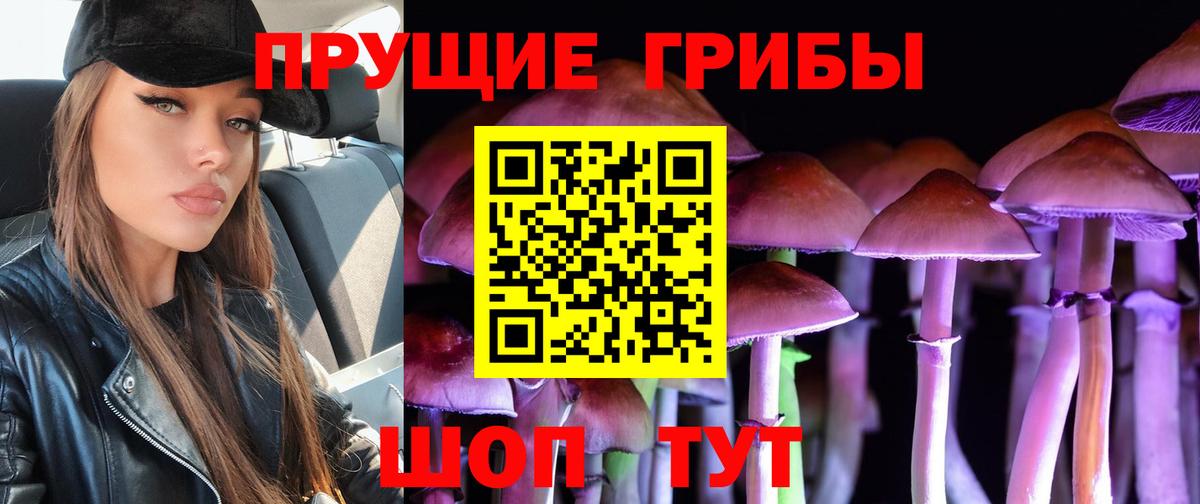Печора  Галлюциногенные грибы мухоморы  Псилоцибиновые грибы Cubensis  Вход с VPN 